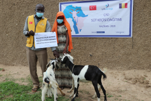 Süt Keçileri Kamerun ve Çad’ta Ailelere Hediye Edildi