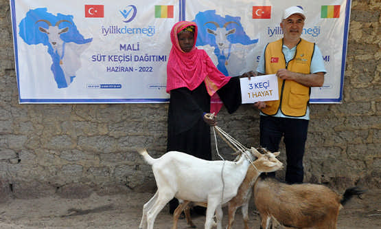 19. Etap Süt Keçisi Dağıtımı Mali'de Tamamlandı