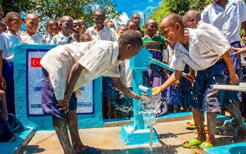 Water Well - Share