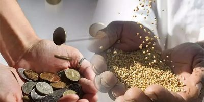 Zekâtın Bireysel ve Toplumsal Faydaları